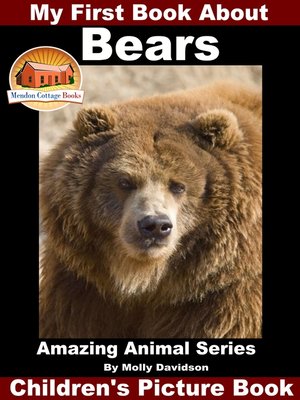 cover image of My First Book About Bears